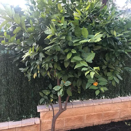 Bonito Con Jardin, Piscina Y Aparcamiento Gratuito Appartement La Cala Del Moral